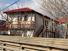 Cristi Vama Veche